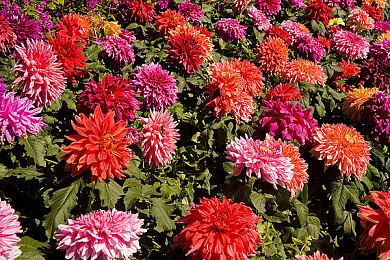 《极限国度》第四赛季预告片公布 BMX引爆全场